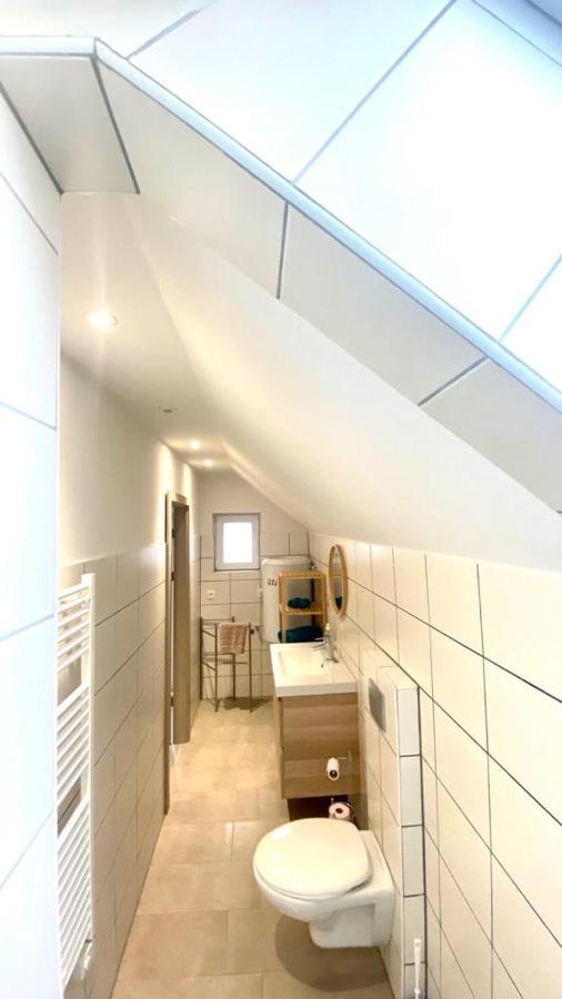 Colmar Cote Rhin Apartamento Biesheim Exterior foto